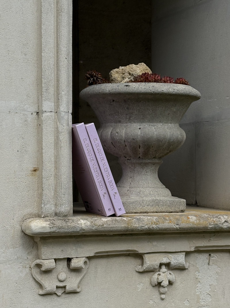 journal de notre agenda de mariage planificateur de mariée organisateur livre de mariage planificateur de mariage tous les confettis