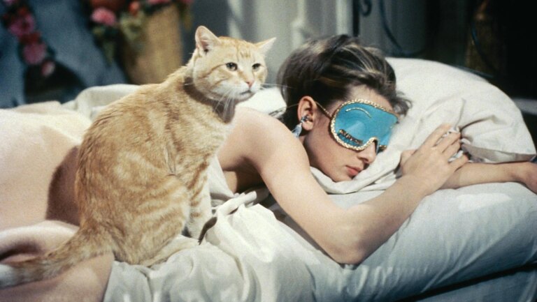 Les bienfaits de la lumière rouge au repos : « Ce n'est pas un somnifère, mais elle contribue à un sommeil plus profond et réparateur »