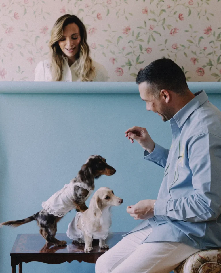 Ils se sont mariés dans une peinture de tous ceux qu'ils aiment (chiens inclus)