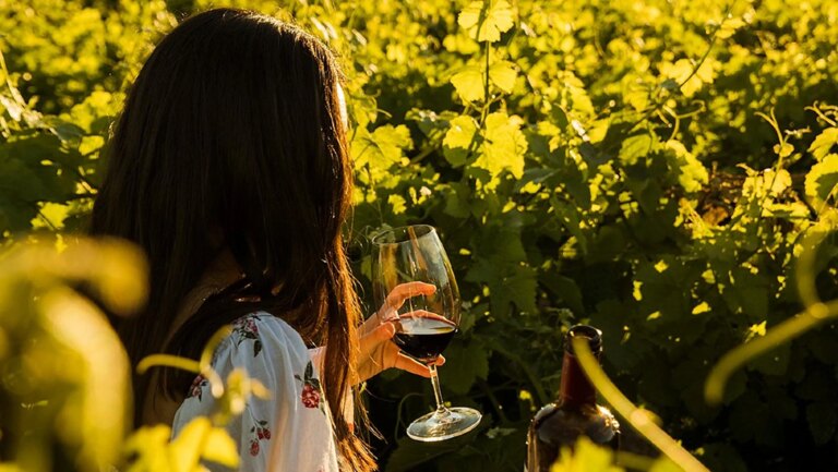 Le raisin au-delà du vin : pourquoi il fonctionne si bien en cosmétique